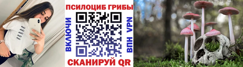Псилоцибиновые грибы Cubensis  Ухта 
